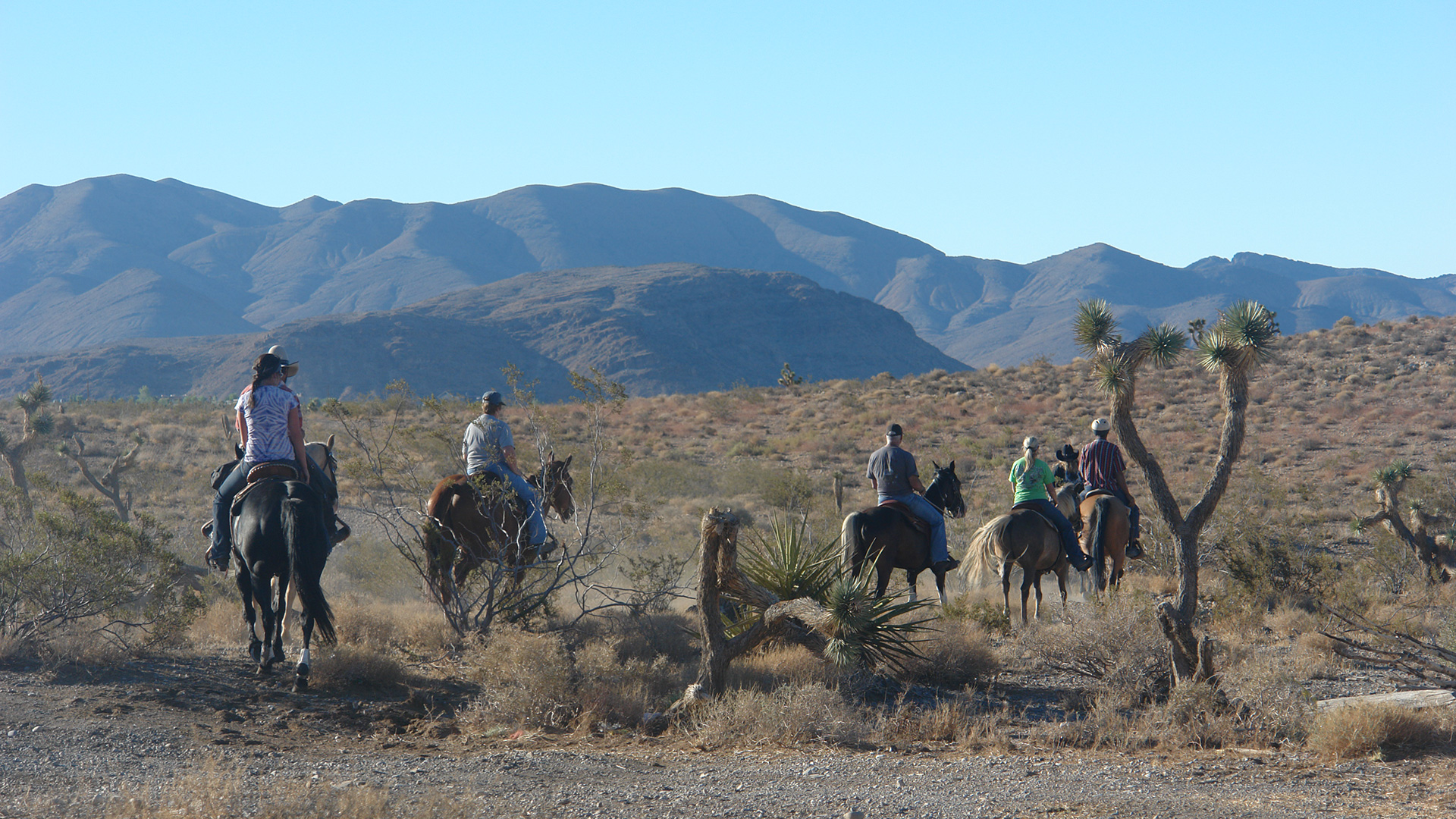 Rocking H Ranch - Horse Boarding Las Vegas - Las Vegas Horse Ranch