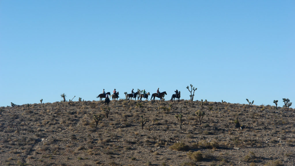 Rocking H Ranch Horse Boarding Las Vegas Las Vegas Horse Ranch