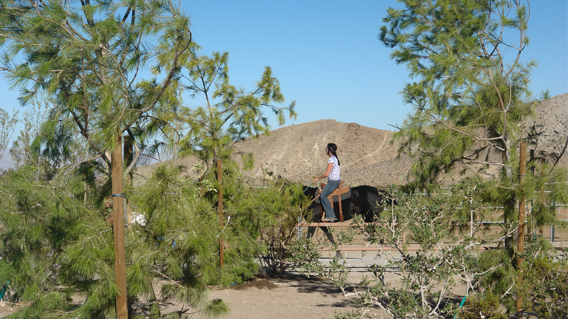 rocking h safari ranch