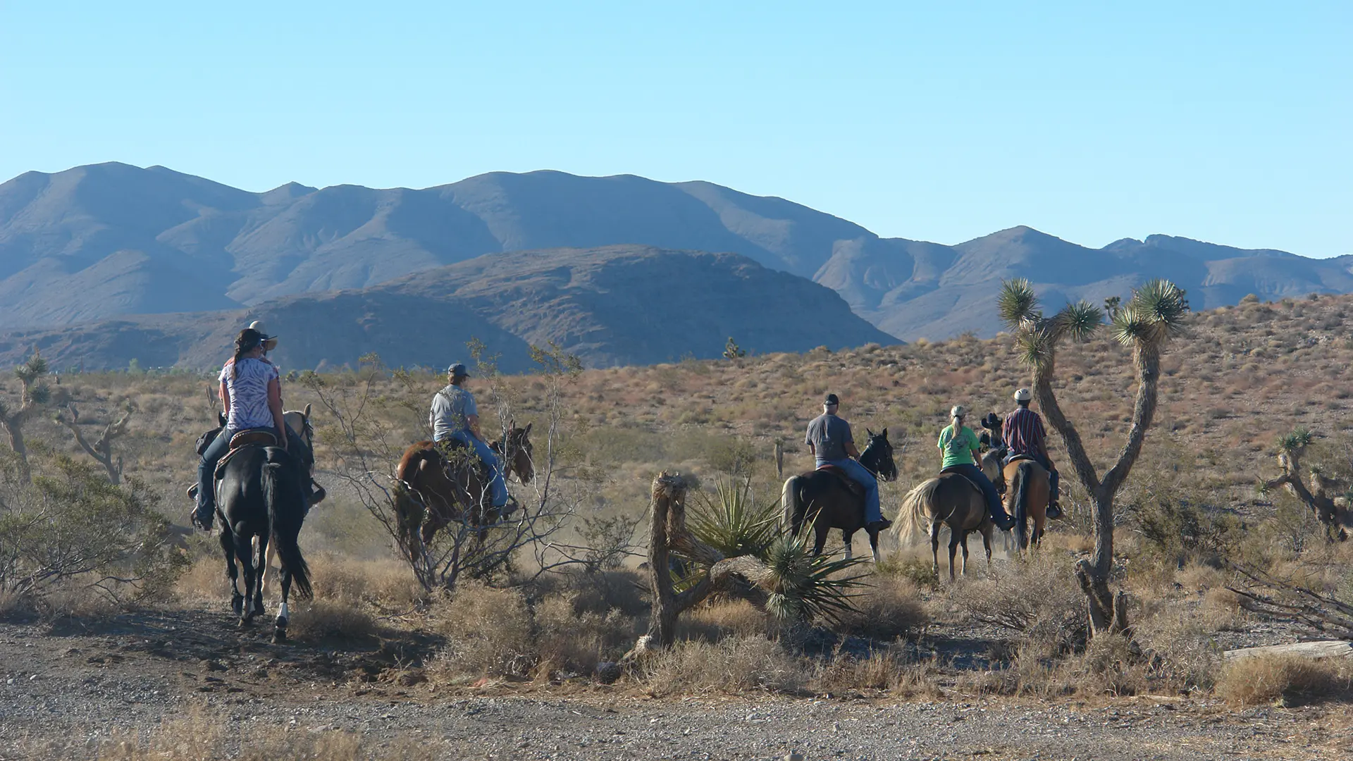 Our Services - Rocking H Ranch