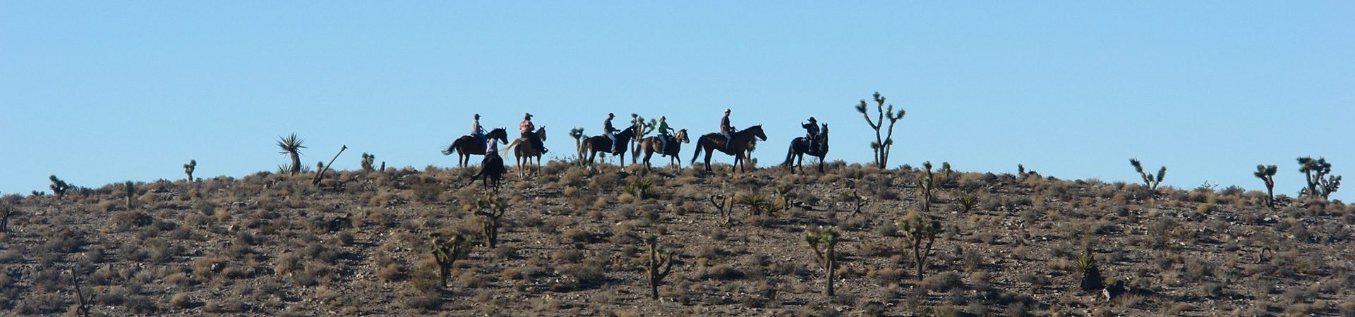 Home - Rocking H Ranch